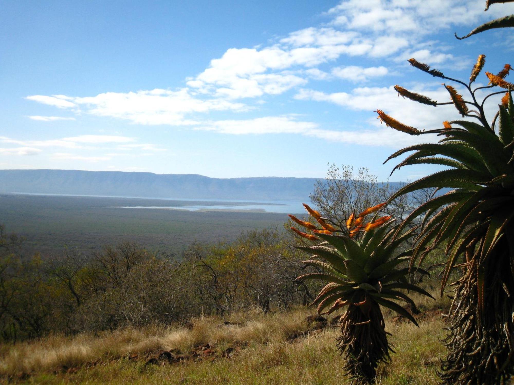 Shayamoya Tiger Fishing And Game Lodge Pongola Εξωτερικό φωτογραφία